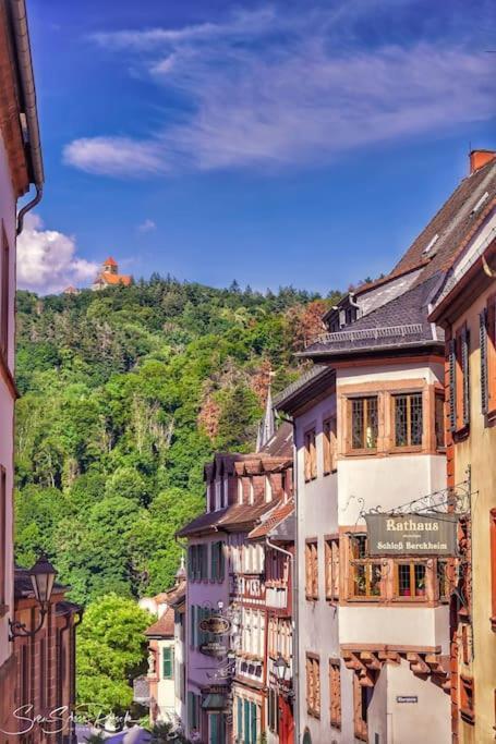 Ferienwohnung Zwischen Weinheim Und Hemsbach Екстер'єр фото