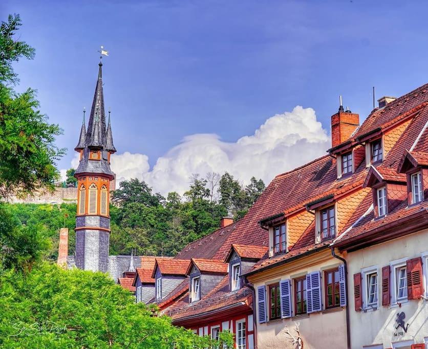 Ferienwohnung Zwischen Weinheim Und Hemsbach Екстер'єр фото